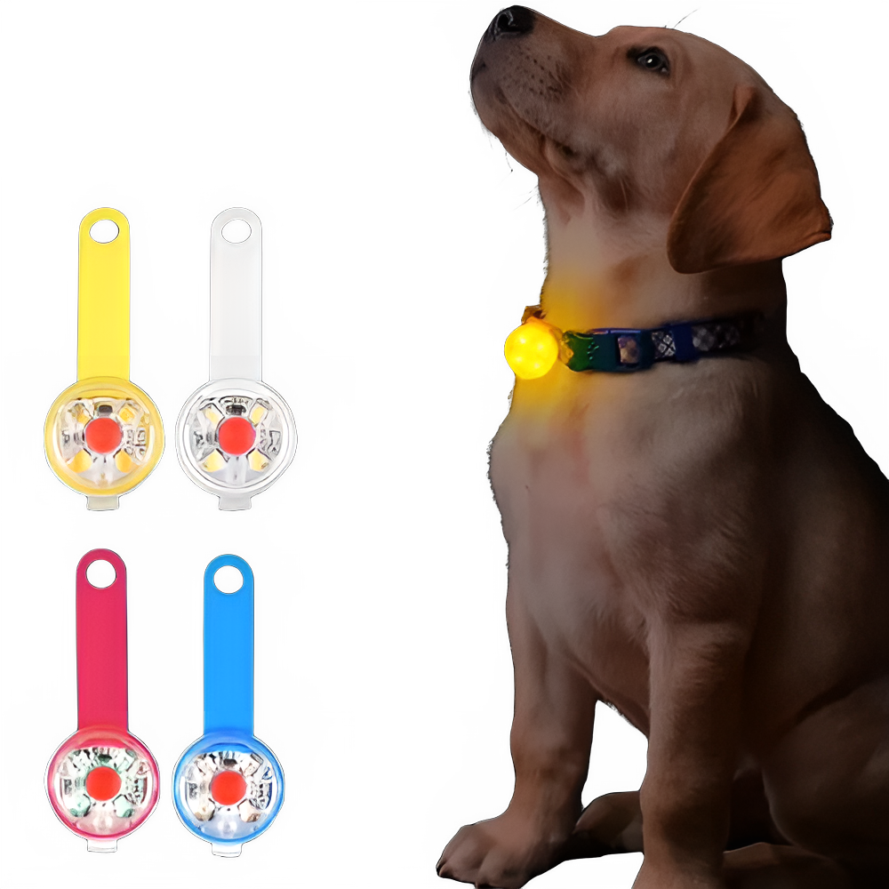 38001551-a315-468b-95a5-de3592963211