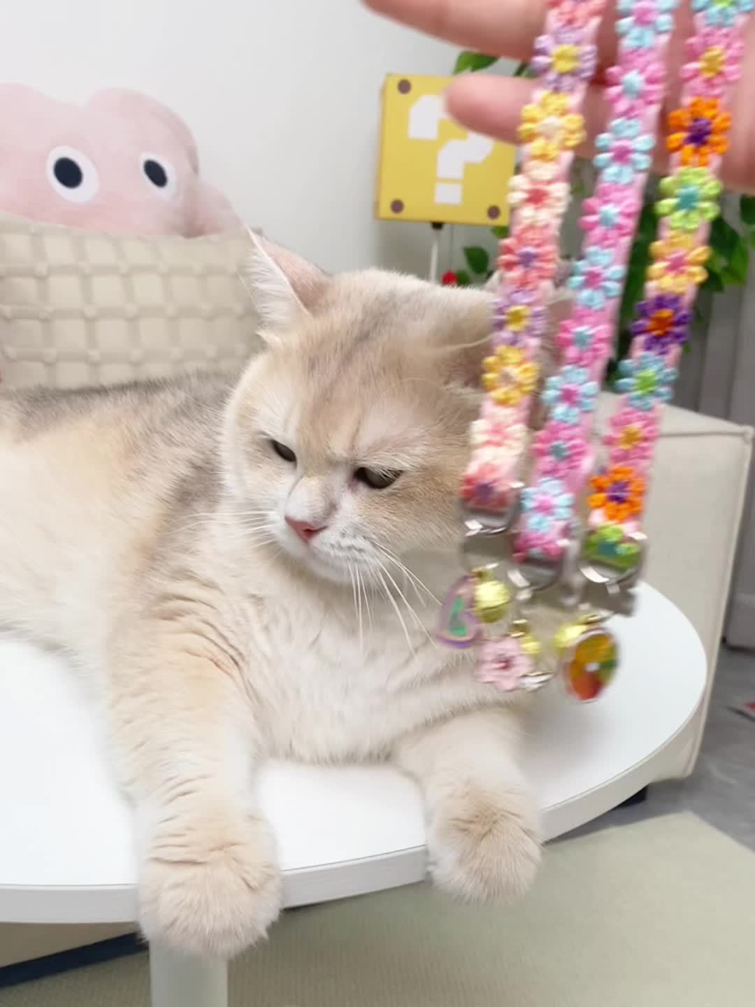 4dd08bc51c16aae6cad28978c6c34b832690062e