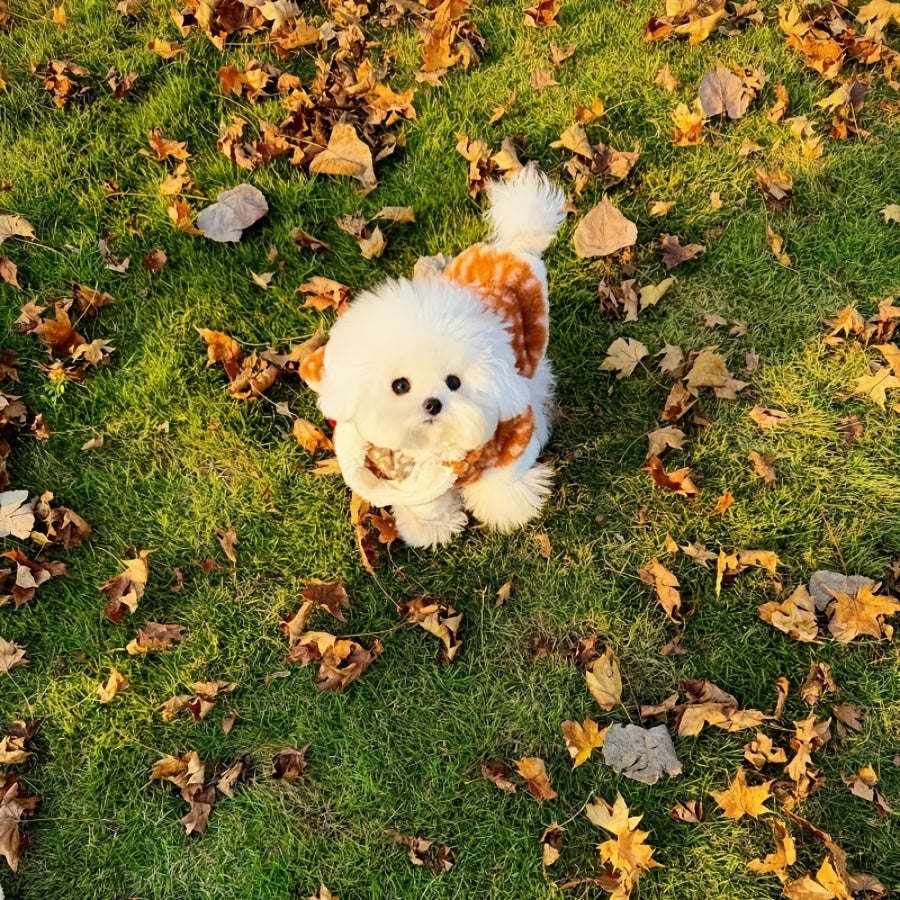 4fa123d2-6959-4d5f-aeb3-0d37bca8b5af