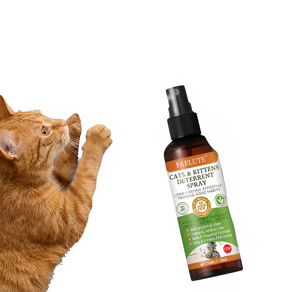 50d6f906-08b9-47a6-b833-586e29680dbf