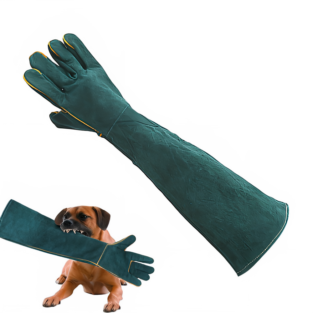 5305bd2c-e614-4019-a844-3b64496181be