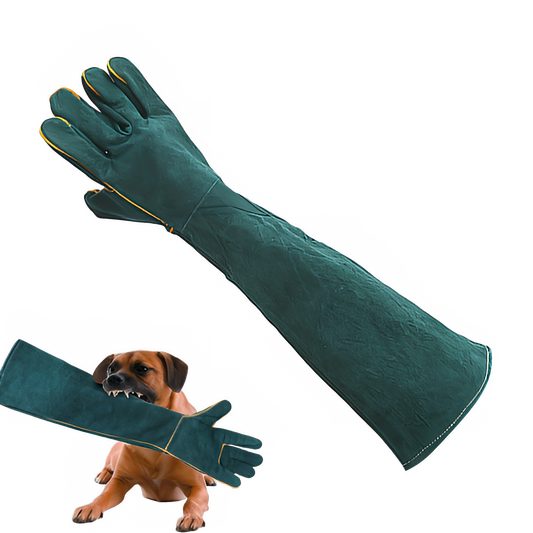 5305bd2c-e614-4019-a844-3b64496181be