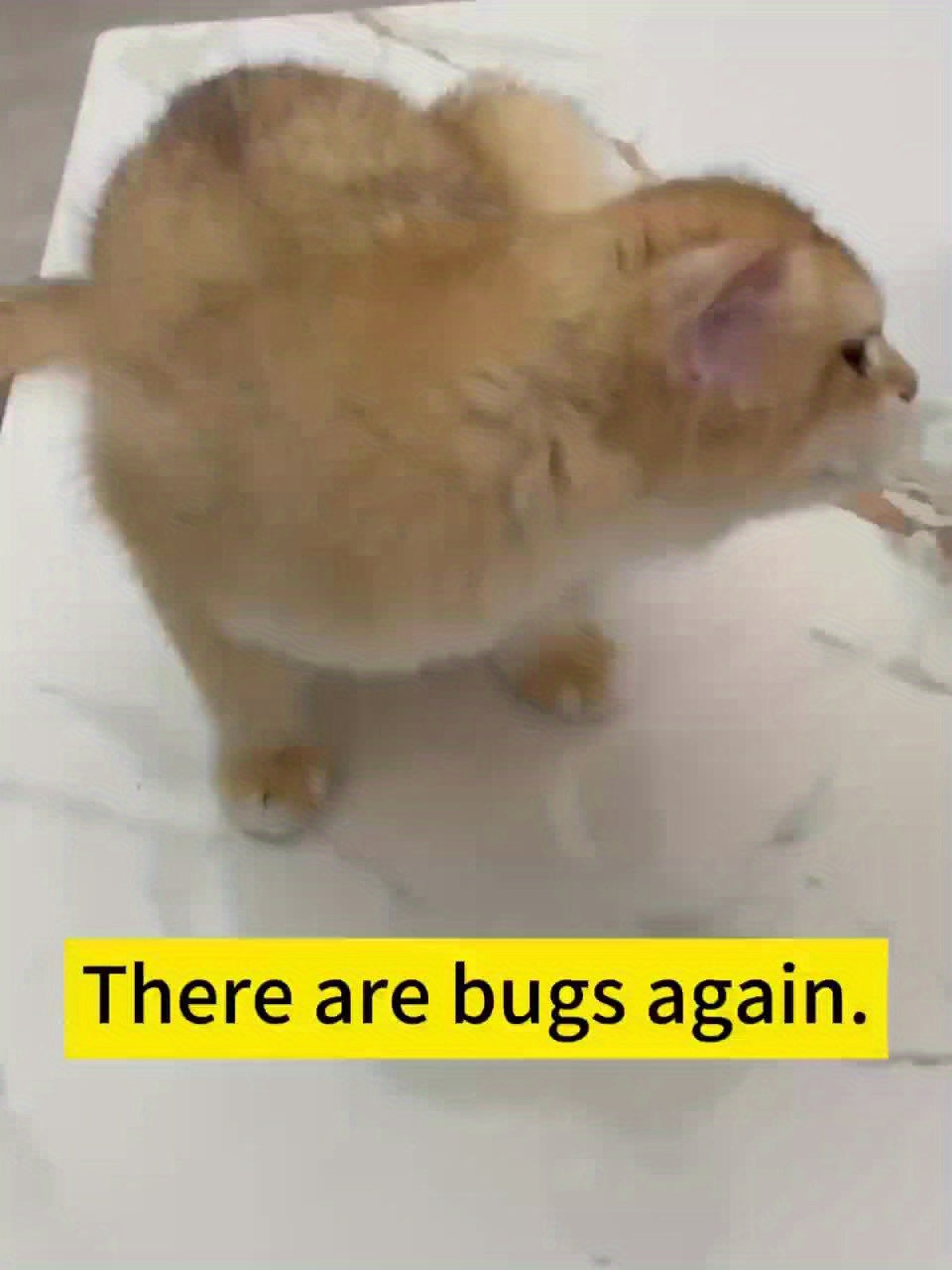 5d24cc0e194d8fac39827b66c74bf188acaf1ec1