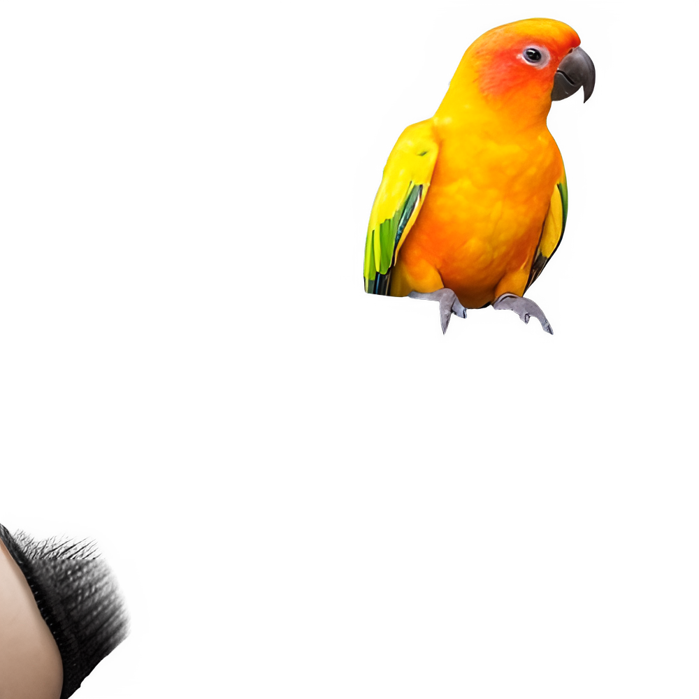 6a94cd4e-aff2-480a-bb8a-945f4f237af4