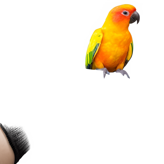 6a94cd4e-aff2-480a-bb8a-945f4f237af4