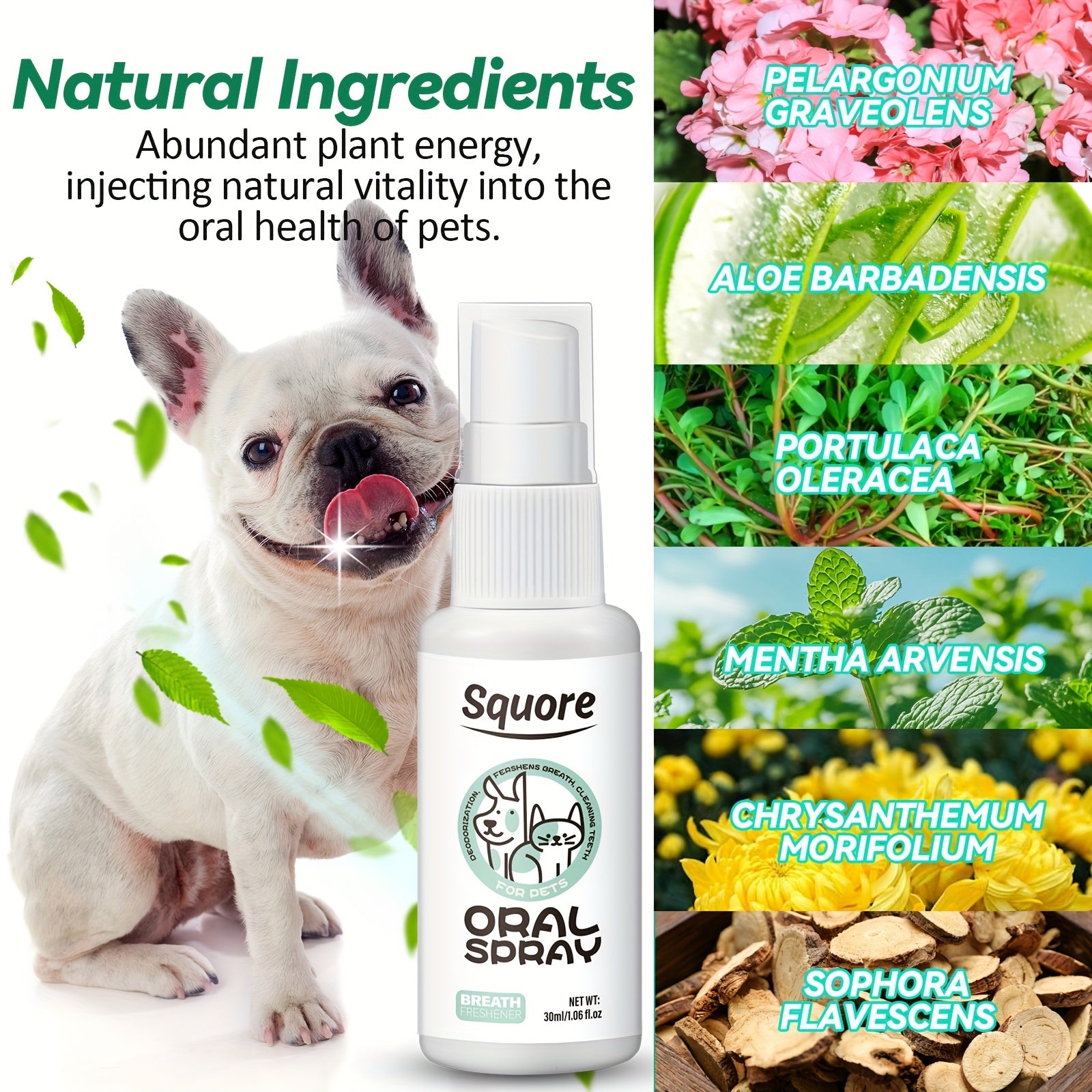 785812e1-0414-4ec7-86b4-40e49cec0fb4