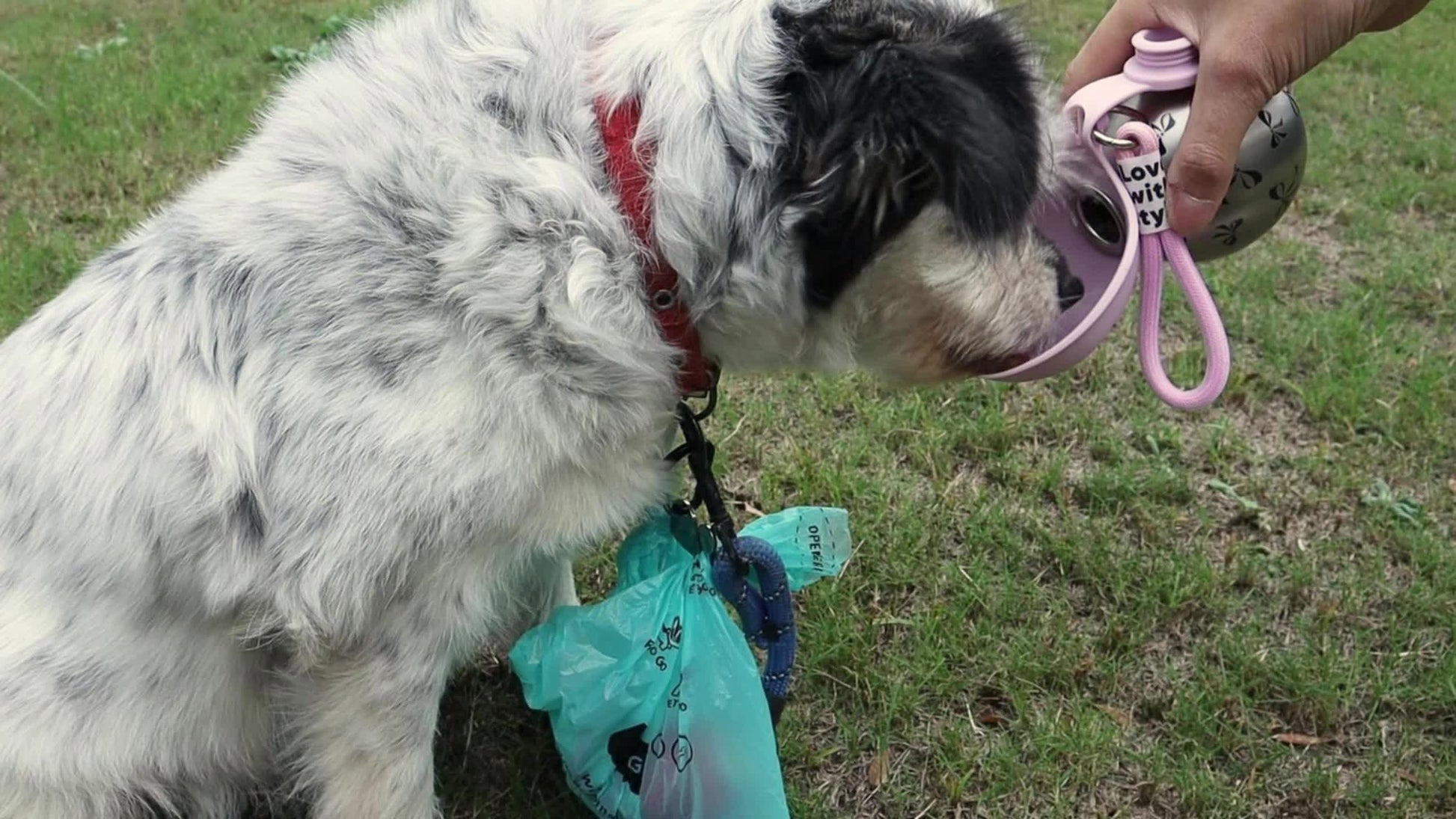 90b85630c5748b3ad0af1ed0de8d6d1f6e39feeb