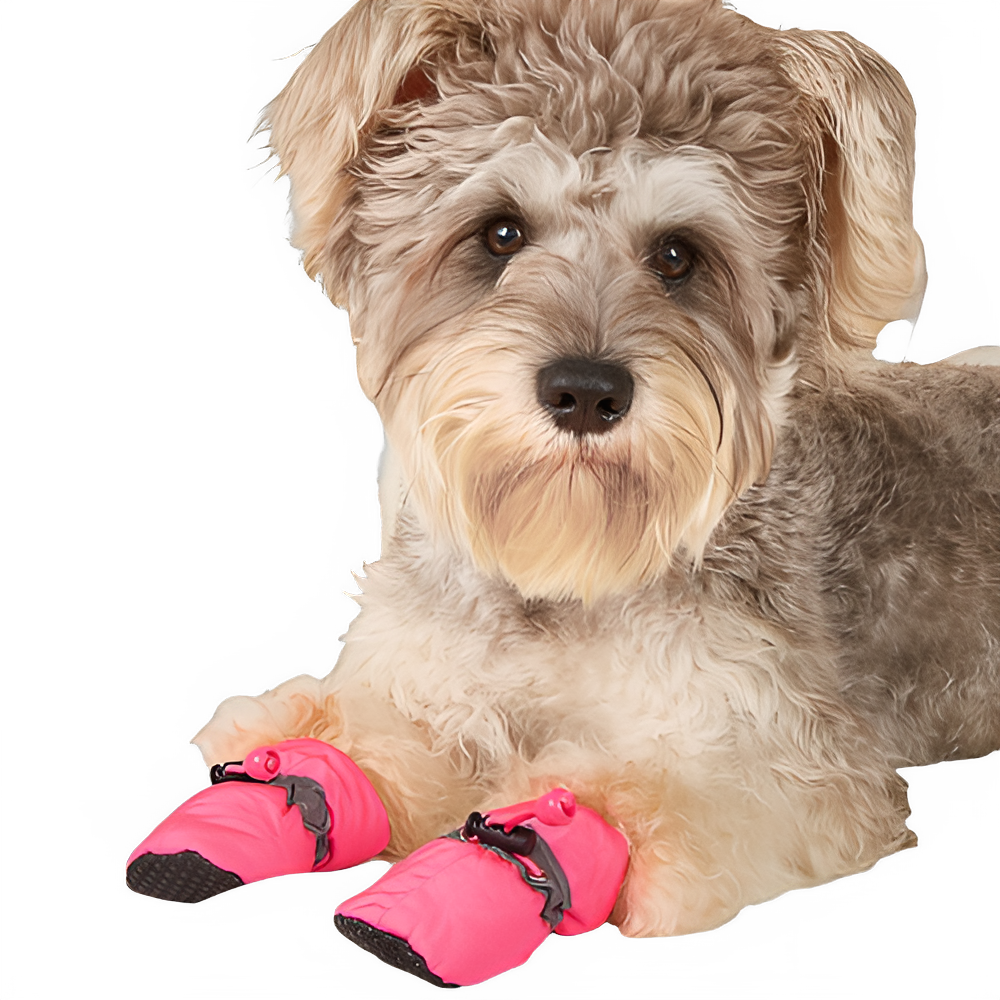 97840a03-c28e-482e-9304-eaa607af6193