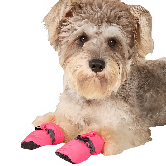 97840a03-c28e-482e-9304-eaa607af6193