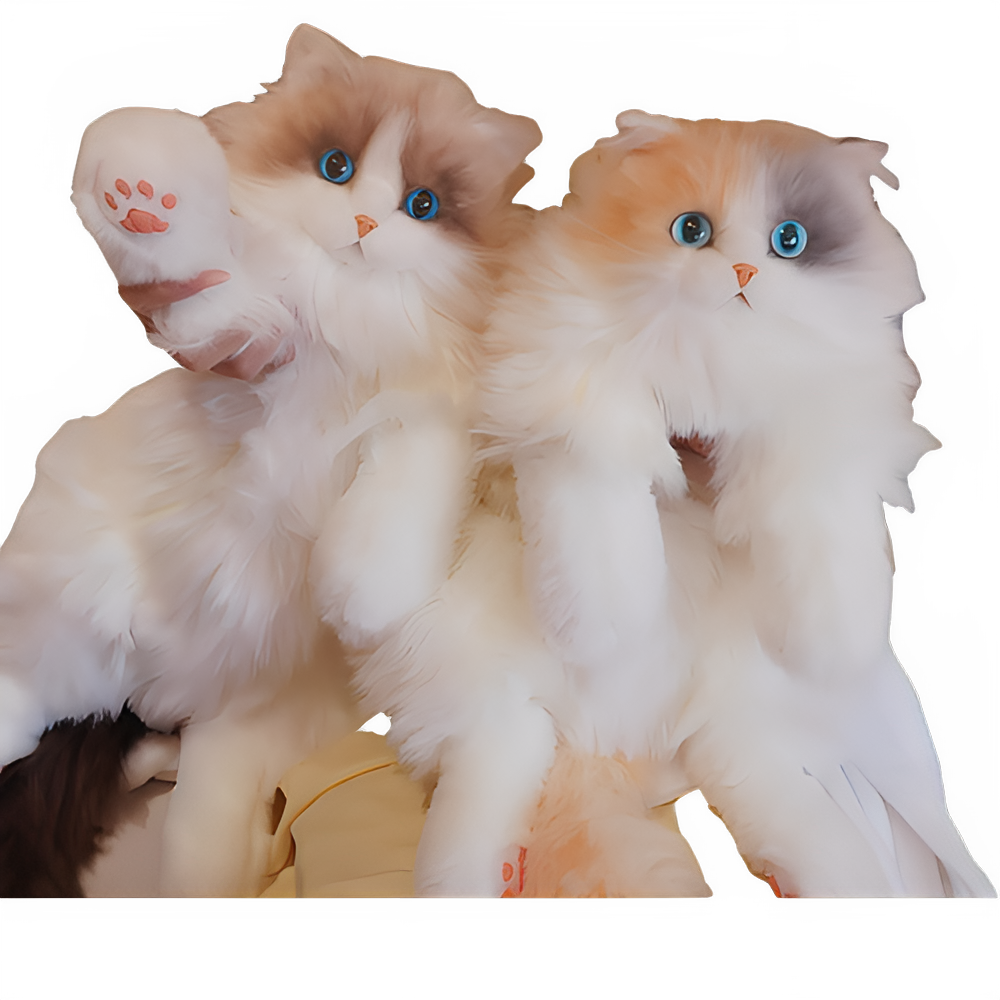 9d138419-4bd8-4bb2-b1fa-2dd61aa4c2a1