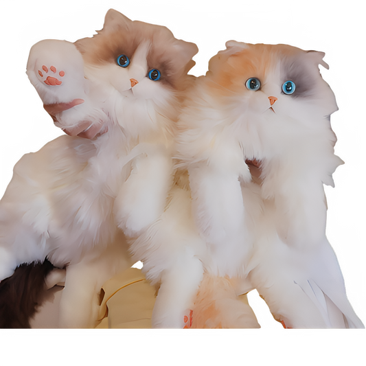 9d138419-4bd8-4bb2-b1fa-2dd61aa4c2a1