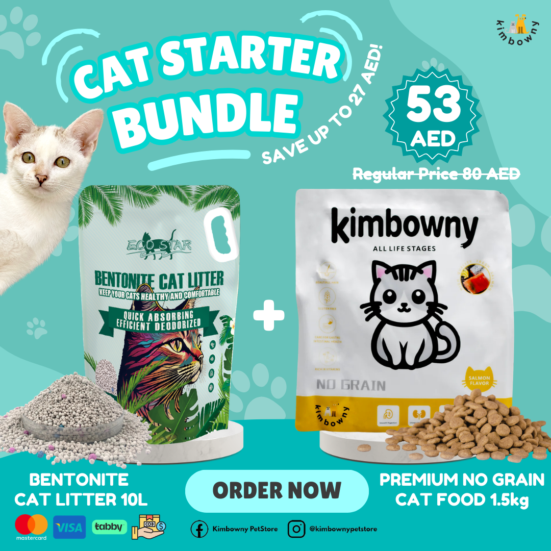 Cat Starter Bundle! - Kimbowny Petstore
