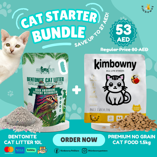 Cat Starter Bundle! - Kimbowny Petstore