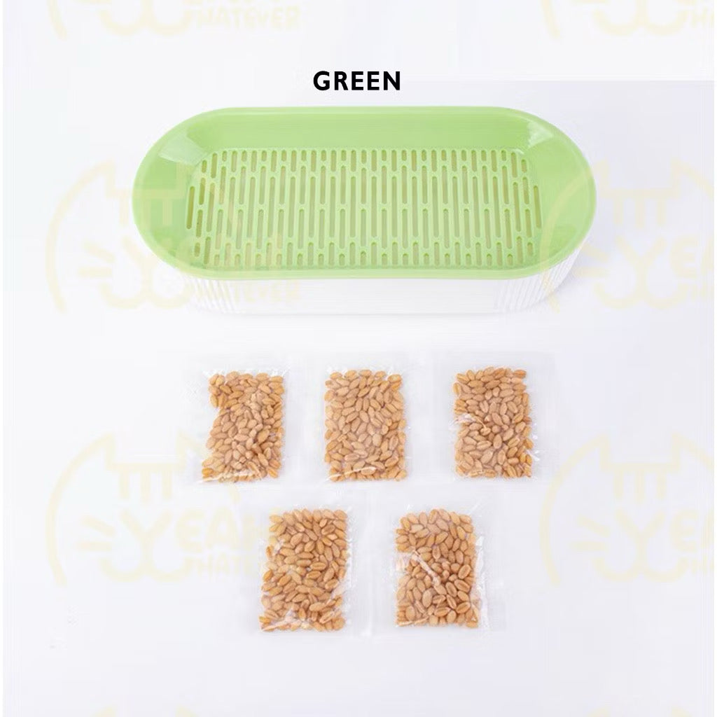 Organic Cat grass knit with pot and solid Hair removal helps digest pet food