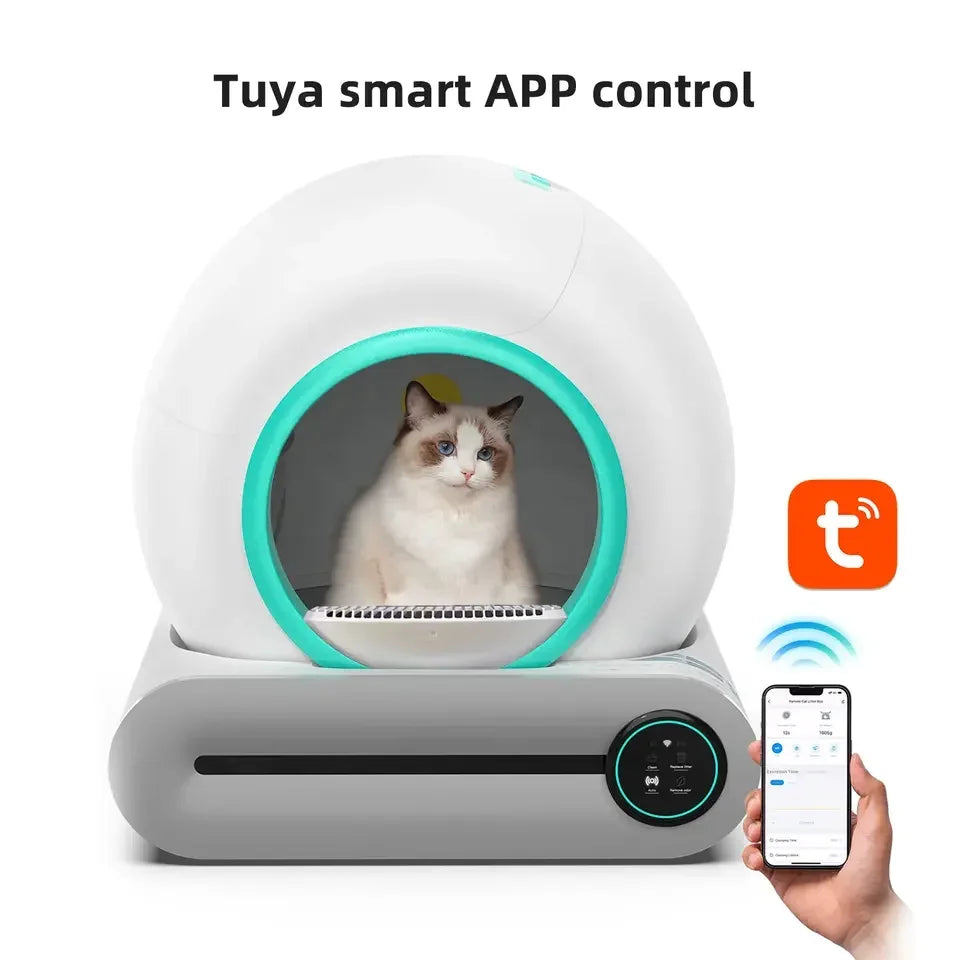 S339df3eca85545b5abdb9be610a1fb06A