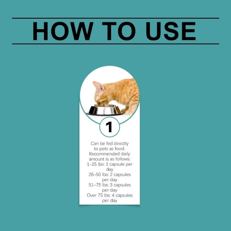 S77018a0dffc14dbfb3298865f12bf40eG