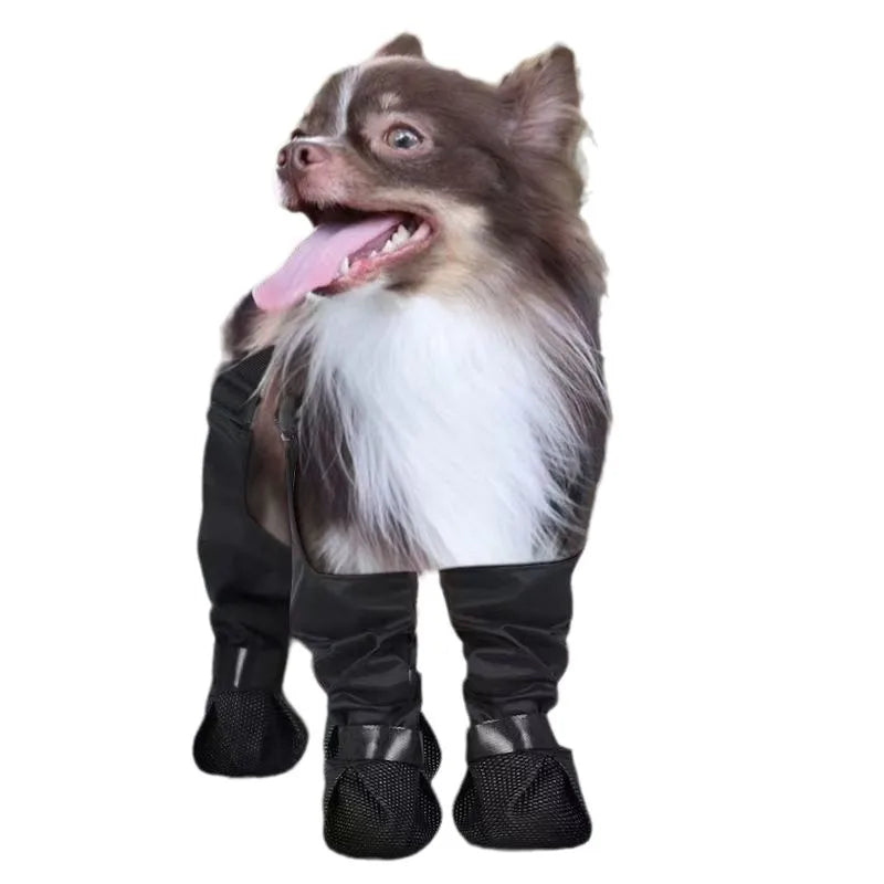 S9dcf19814f6a4d1185e70f3d62acb8c3i