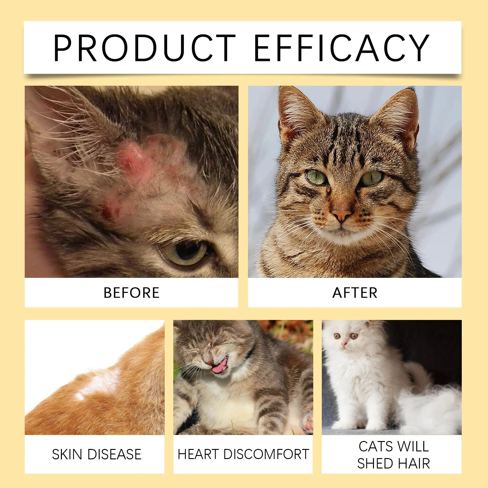 Sb01093bb08564119abc54248b6d10ccae