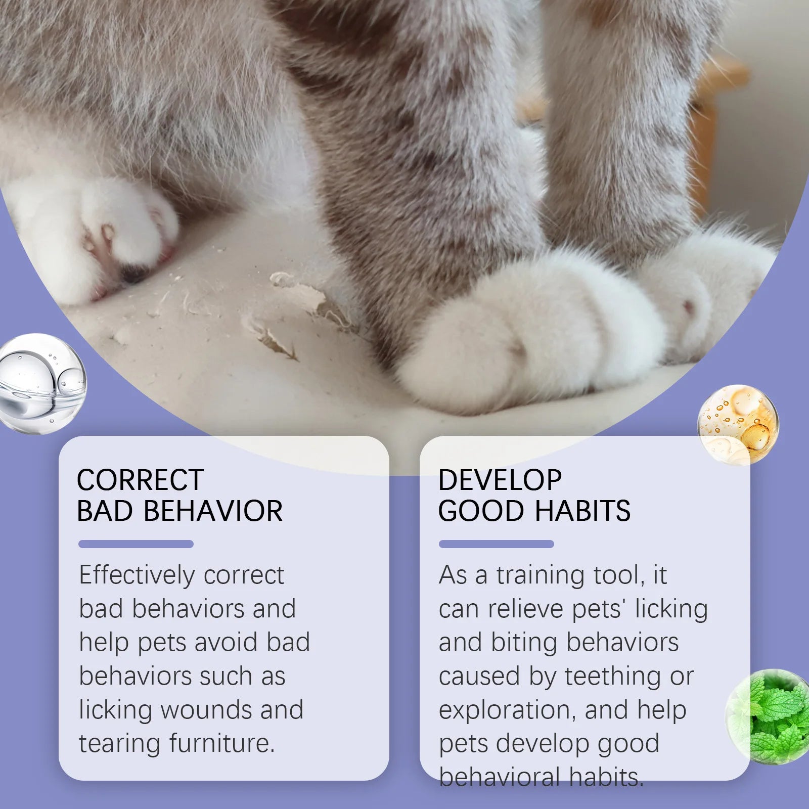 Sc3b2b437c9bd40b59be92f45537c6136q