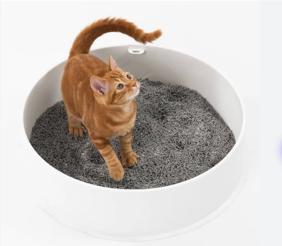 رمل القطط أثينا توفو 