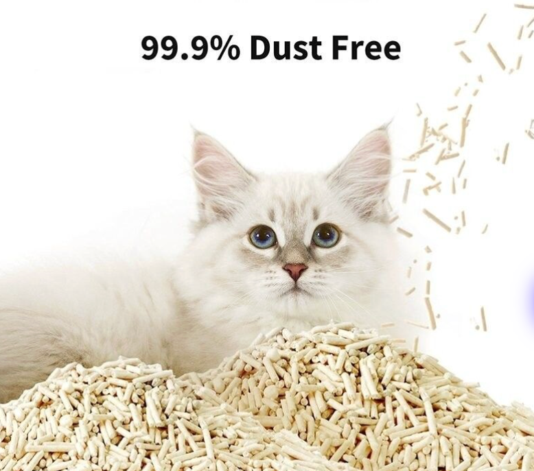 رمل القطط أثينا توفو 