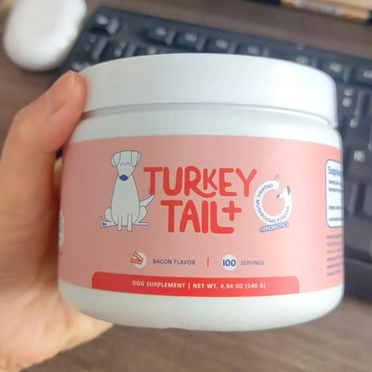 Sd5a01c4505264352b8959cf700f9c7beY