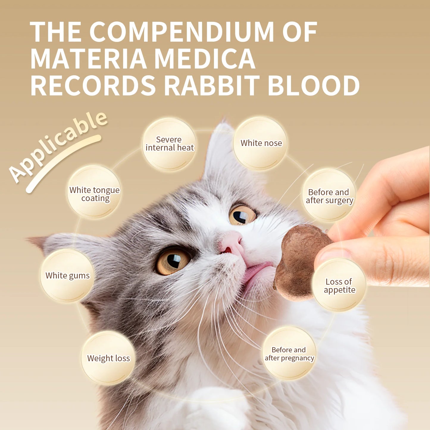 Sff296c70f08b422db006b78705b606675