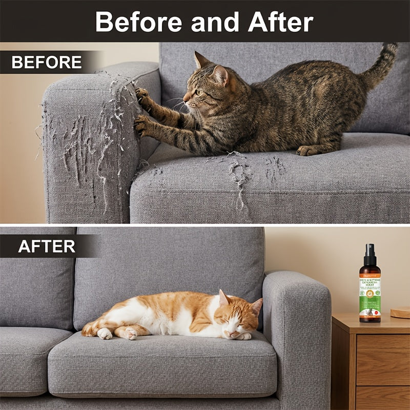 a40e606a-69ce-4d32-9744-b0f2306860e0