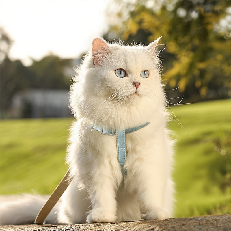 ad5f2bdc-9831-4b51-a09b-c07e757a9ae5