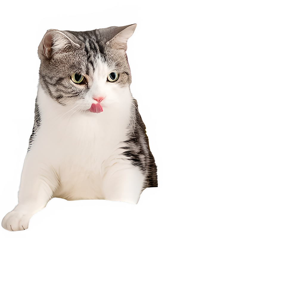 b0d9fb22-5cf2-43ca-a4d6-aaf57cfada48