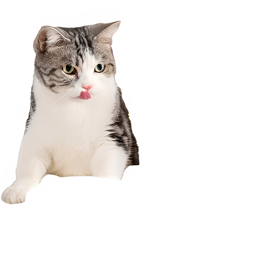 b0d9fb22-5cf2-43ca-a4d6-aaf57cfada48