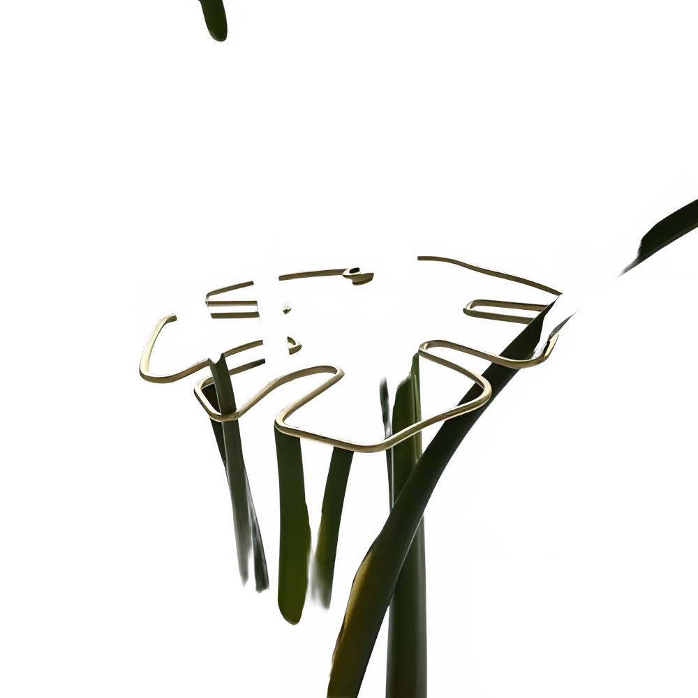 b6921a52-7701-4205-9458-983d545f3caa