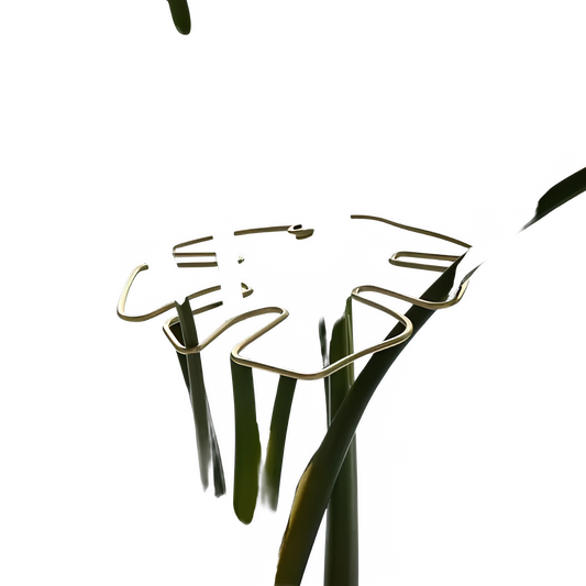 b6921a52-7701-4205-9458-983d545f3caa