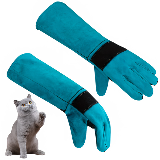 b7a320b9-4dc6-4968-a0d6-db8c05885a0c