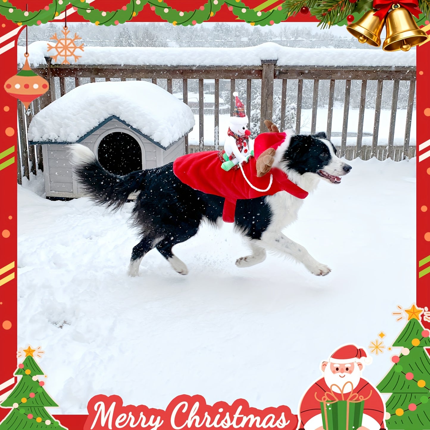 bc5769e4-c368-43d0-bd0b-2cd1a211e31a