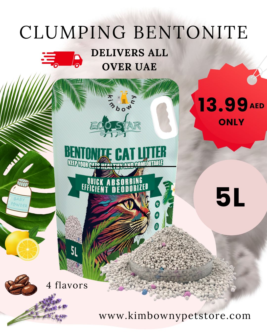 EcoStar Clumping Bentonite
