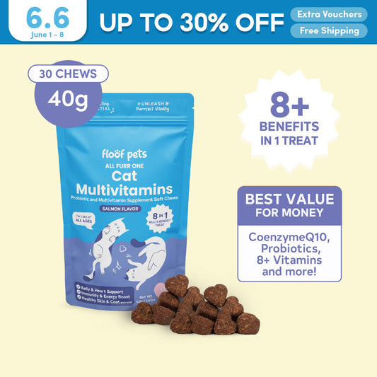 Floof Pets 8-in-1 Cat Multivitamins 30 Chews (40g) Pet Supplement Treat Snacks for Complete Health - Kimbowny Petstore