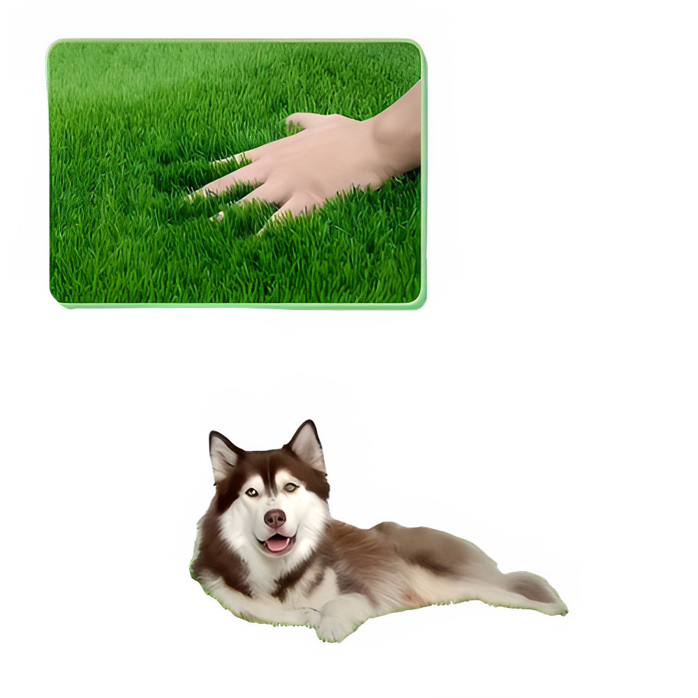 d7cf12c2-6ea9-4cba-90a3-395f241d94fb