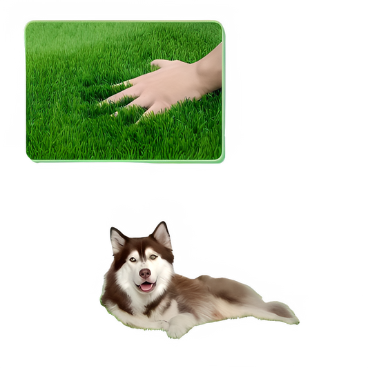 d7cf12c2-6ea9-4cba-90a3-395f241d94fb