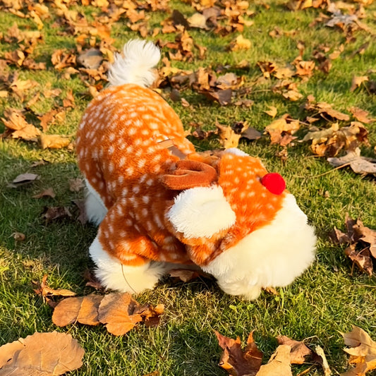 fab1da94-48fb-47a0-acb6-f3eb44246649