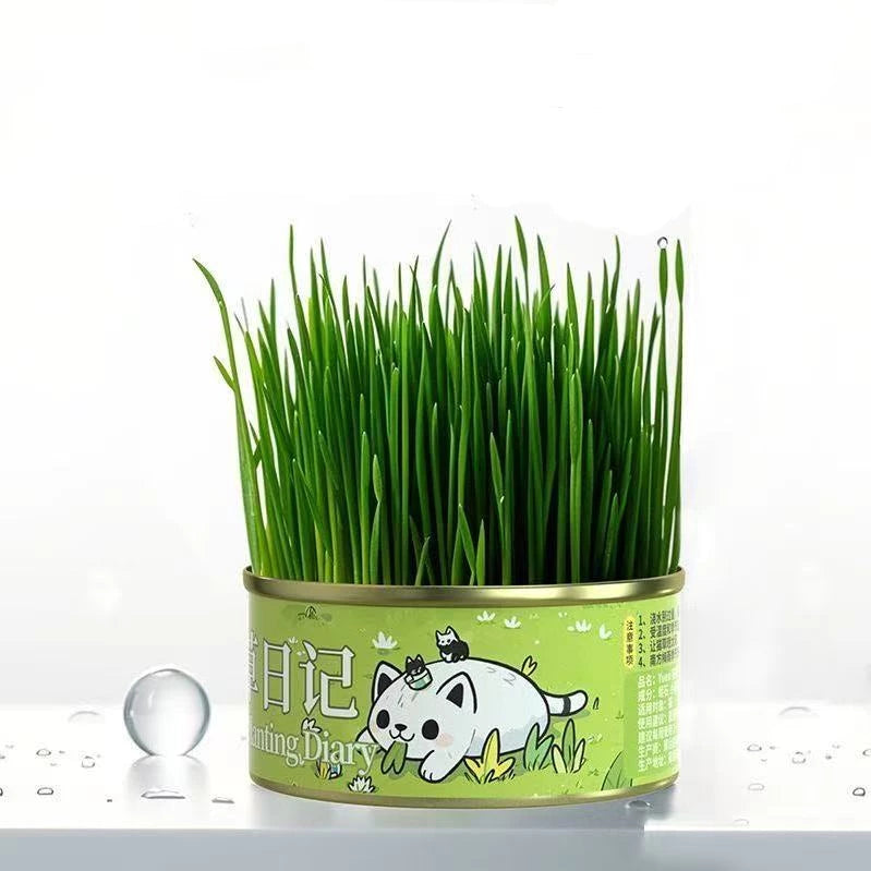 1 can of Organic Cat Grass Seeds Can Be Grown With Or Without Soil Cat Grass Treats seeds