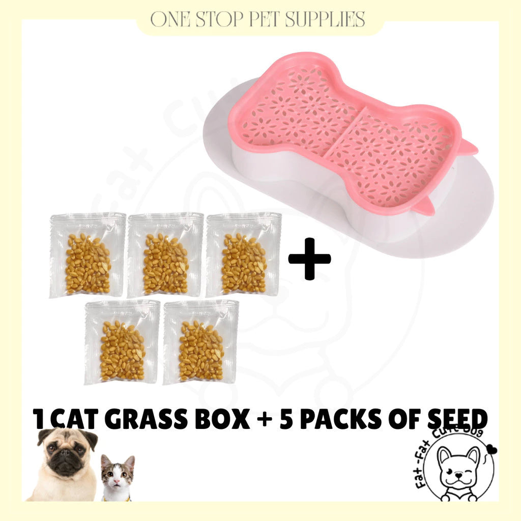 Organic Cat grass knit with pot and solid Hair removal helps digest pet food