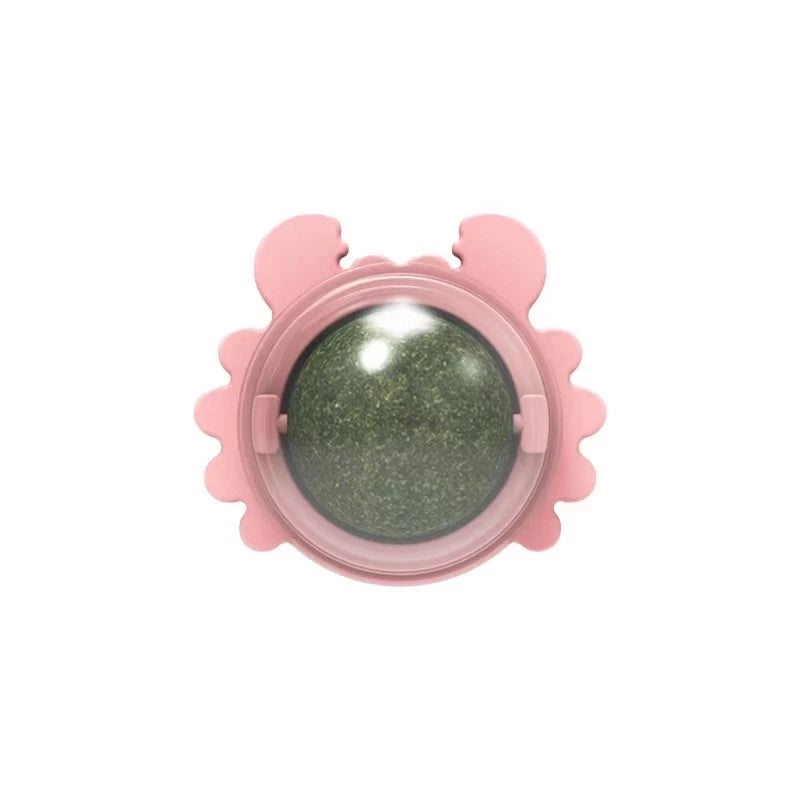 Catnip Cat Mint Ball Toy Catnip for Cats Toy Cat Toys For Kitten Toys Cat Teaser For Cat Pet Toy