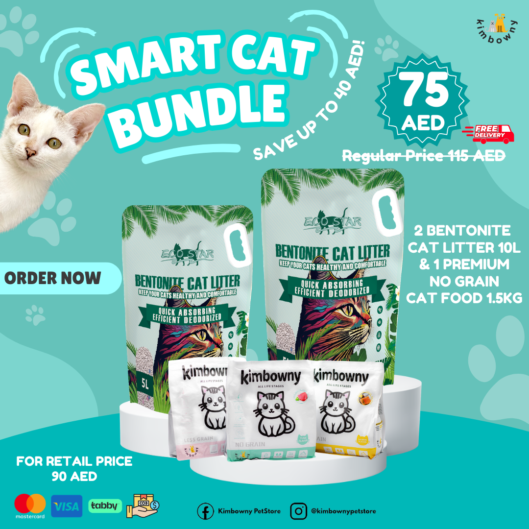 Smart Cat Bundle - Kimbowny Petstore